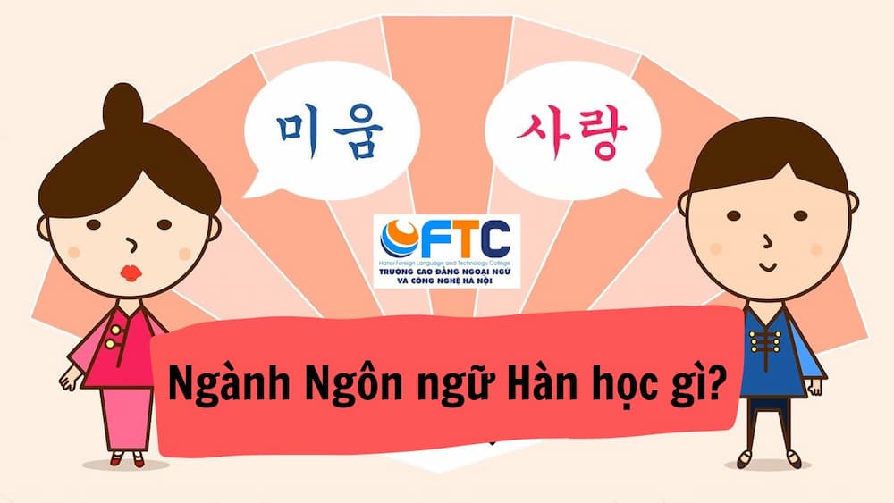 Ngành Ngôn ngữ Hàn học gì?