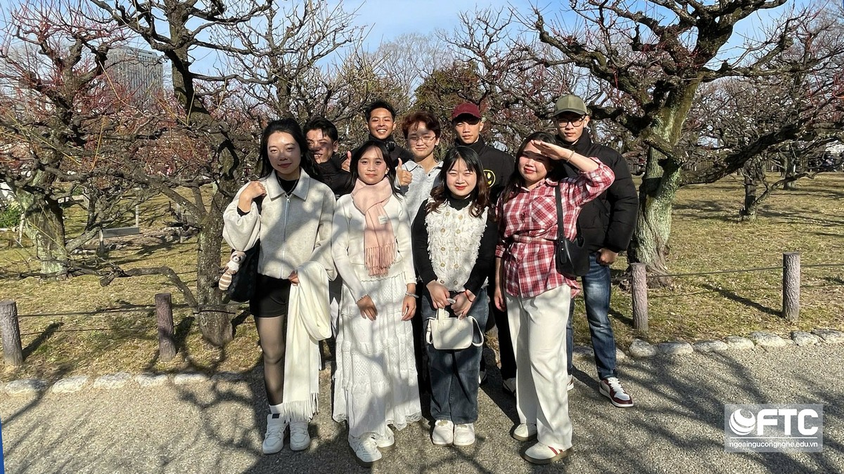 FTC: Học thật - quốc tế thật - làm việc toàn cầu