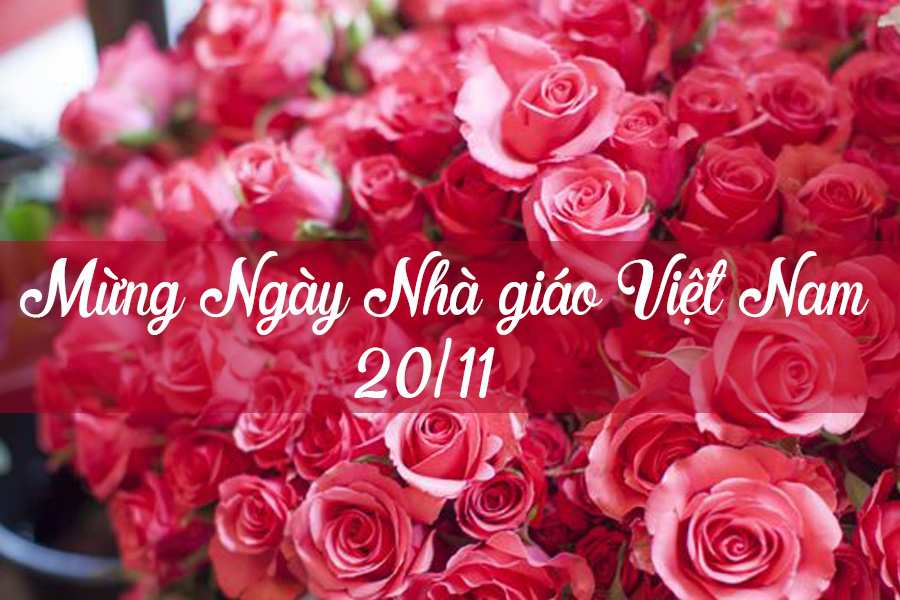 Ngày Nhà giáo Việt Nam 20/11 ý nghĩa tại Trường Cao đẳng Ngoại ngữ và Công nghệ Hà Nội