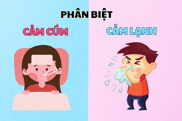 Cách phân biệt cảm cúm và cảm lạnh