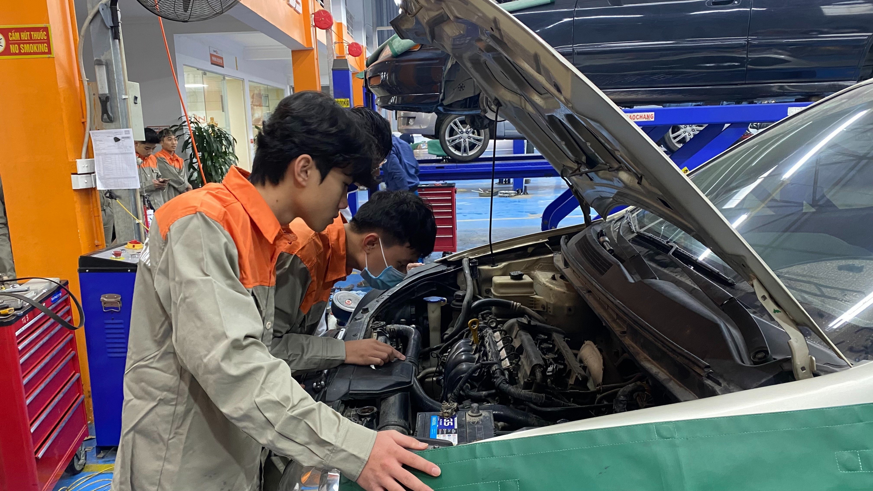 Sinh viên thực tập trên thiết bị xe ô tô đời mới tại doanh nghiệp