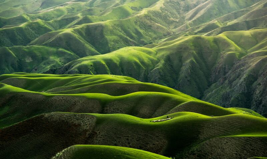 Đồng cỏ Karajun như một bức tranh 3D siêu thực giữa thảo nguyên xanh biếc
