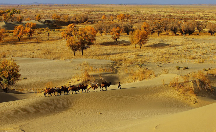 Sa mạc Taklamakan là sa mạc có diện tích rộng lớn nhất Trung Quốc